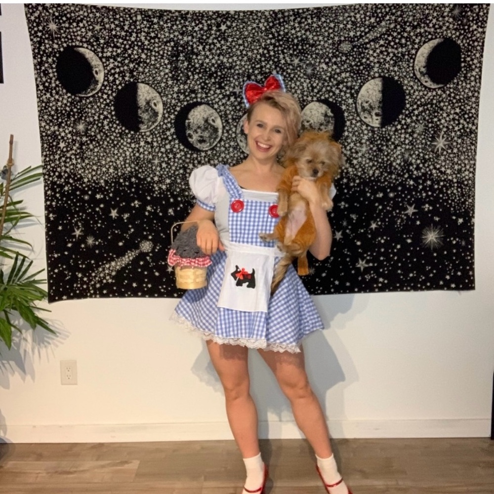 Dorothy 👠🐶 costume cosplay dress Halloween wizard of OZ toto Fashion nova
